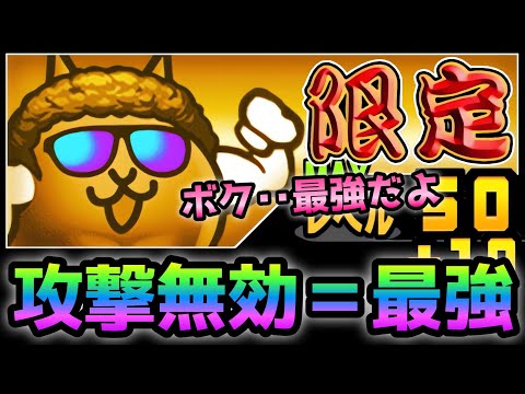 攻撃無効こそ最強！ 日焼けネコパーマというアホ耐久壁がコレw   にゃんこ大戦争
