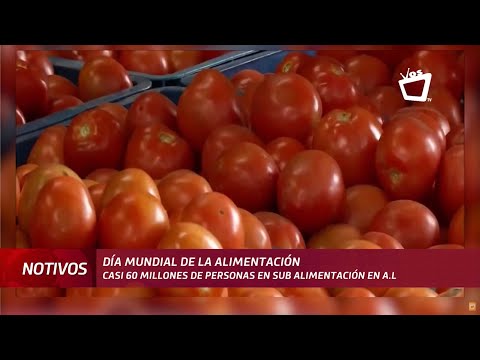 América latina: FAO registró casi 60 millones de personas en sub alimentación en 2021