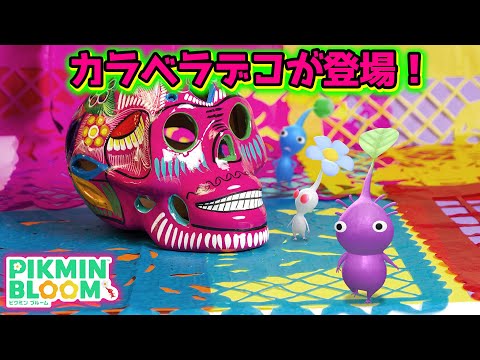 【ピクミンブルーム】カラベラデコが登場！【Pikmin Bloom】