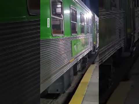 La emoción de ver salir al Tren Patagónico de San Antonio Oeste y un viaje inolvidable a Bariloche