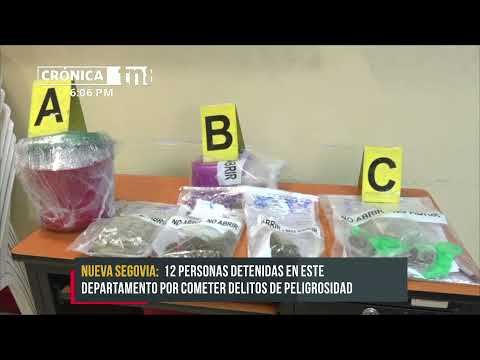 Arrestan a 12 personas en Nueva Segovia por cometer delitos de peligrosidad - Nicaragua