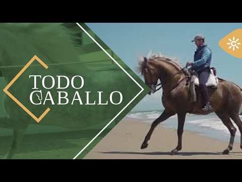 TodoCaballo |?? Ruta ecuestre por Doñana, un paraíso de dunas y playas