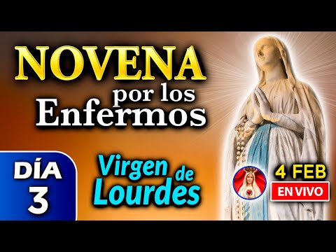 NOVENA por los ENFERMOS, Rosario de HOY a la Virgen de Lourdes DÍA 3  - 4 feb 2023