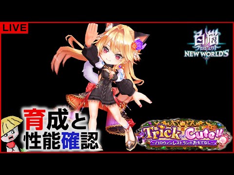 白猫【ライブ配信】Trick or Cute!!キャラの育成＆性能確認【ハロウィン2025】