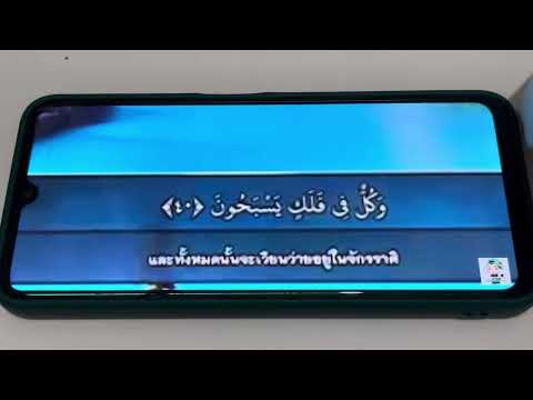 Bonsai SWIMS ยาซีนYasin Bonsai SWIMS ยาซีนYasin