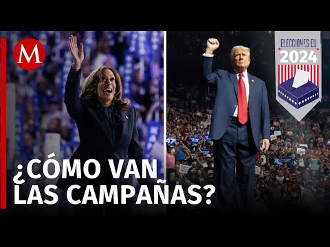 Así han avanzado Donald Trump y Kamala Harris en sus campañas rumbo a las elecciones presidenciales