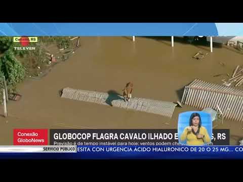 Caballo atrapado por inundaciones en Brasil se vuelve viral– El Noticiero emisión meridiana 08/05/24