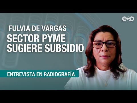Sector pyme sugiere subsidio para afectados por pandemia | RadioGrafía