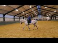 Allround horse Braaf Trec-/ leer-/ recreatiepaard te koop