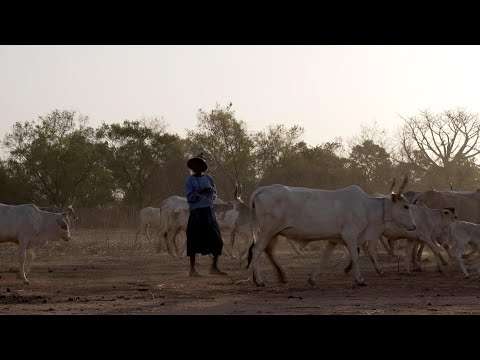 Pastoralists in Senegal keep up in a changing world
