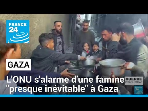 L'ONU s'alarme d'une famine presque inévitable à Gaza et imminente dans le nord • FRANCE 24