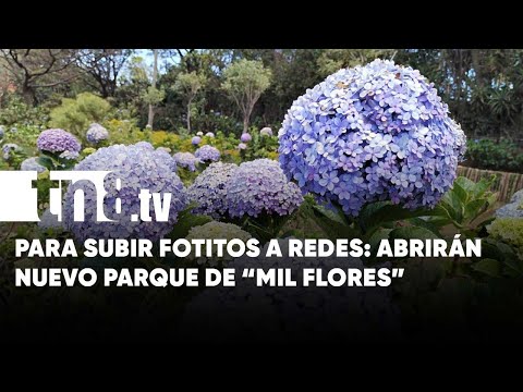 Para el Instagram: Abrirán nuevo parque de «Mil Flores» en El Crucero - Nicaragua