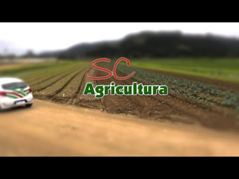 Confira a íntegra do programa SC Agricultura deste sábado (22)!