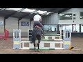 Show jumping horse Talentvolle 5 jarige hengst
