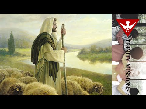 El bello y Buen Pastor que cuida de las ovejas - Homilía 21.4.24 Padre Roberto Mena