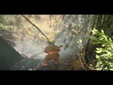 Casi 30 incendios forestales al día atendieron los bomberos en enero