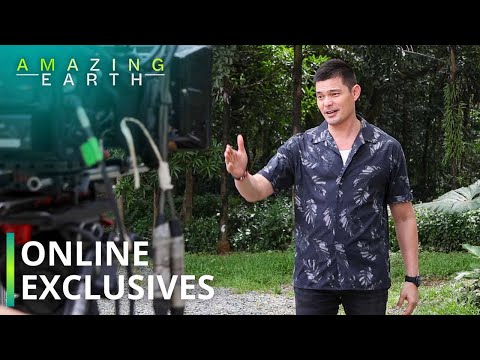 Amazing Earth: Go behind-the-scenes with Dingdong Dantes! (Online Exclusives)