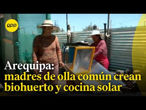 Madres de olla común crean biohuerto y cocina solar