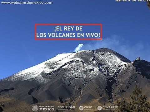 #POPOCATÉPETL | ¡Dame una P, dame una O! ¡Otra vez! ¿Qué dice? ¡POPO! El #Volcán #EnVivo