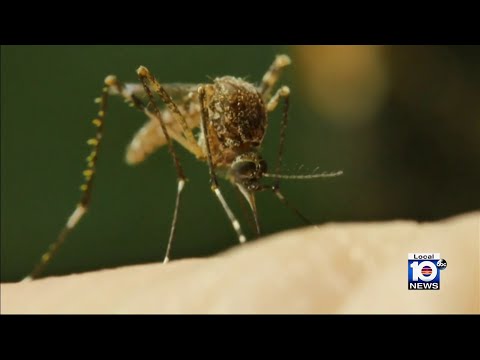 Officials monitoring mosquito issues stemming from last week's historic flooding