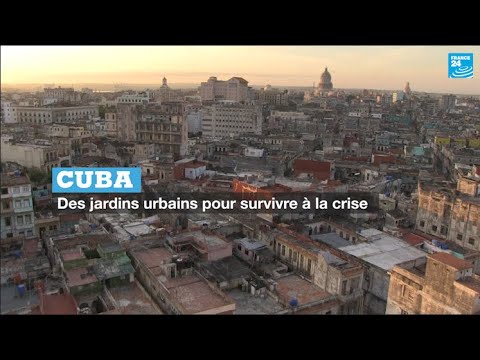 Cuba : des jardins urbains pour survivre à la crise