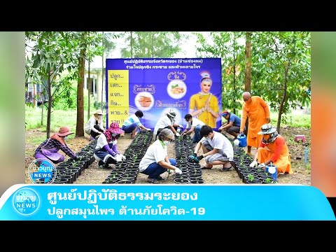 ศูนย์ปฏิบัติธรรมระยอง-ปลูกสมุน ศูนย์ปฏิบัติธรรมระยอง-ปลูกสมุน