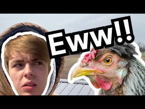 YouTube video thumbnail