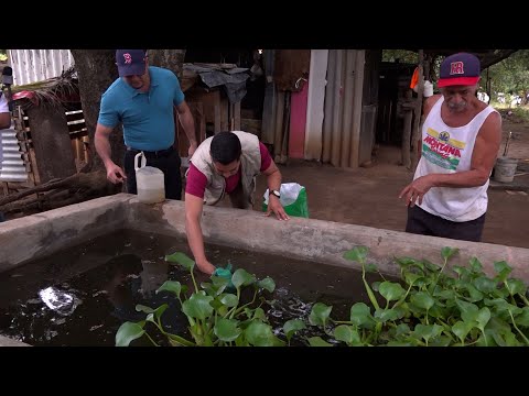 Inauguran en Managua más estanques artesanales para el cultivo de tilapias