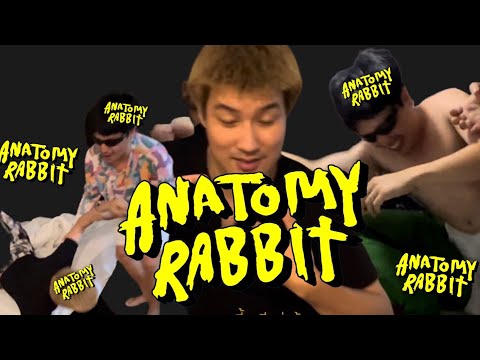 ANATOMYRABBIT-ธรรมดาแสนพิเศ