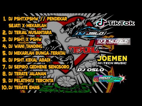 DJ PSHT Full Album Terlengkap // Remix PSHT x PSHW // Pendekar Sejati // Mekarlah Bunga Terate