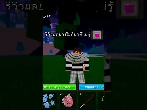 รีวิวผลยางในbloxfruitsrobl