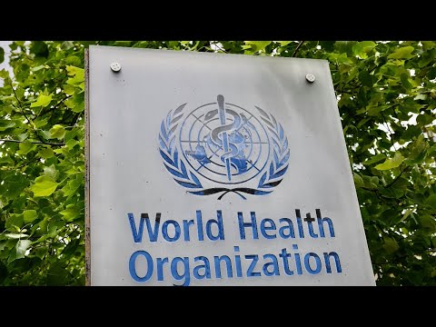 LIVE: World Health Organization holds briefing on the coronavirus pandemic