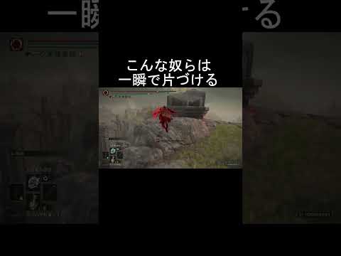 エルデンリング 地獄の侵入 狩人が湧いた瞬間にイキリ出すださい糞ホスト! ELDEN RINGDLC #elden #eldenringdlc #ダクソ3