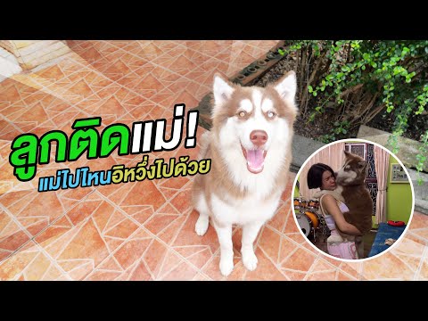 ข้าวนึ่งลูกติดแม่-แม่ไปไหนนึ่ง ข้าวนึ่งลูกติดแม่-แม่ไปไหนนึ่ง