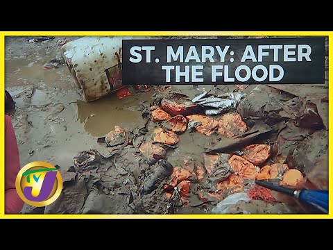 St. Mary Flooding - The Aftermath | TVJ News - Feb 2 2022