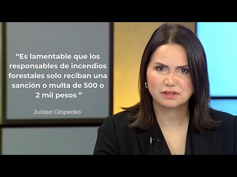 Julissa Céspedes llama a las autoridades a sancionar a responsables de incendios forestales