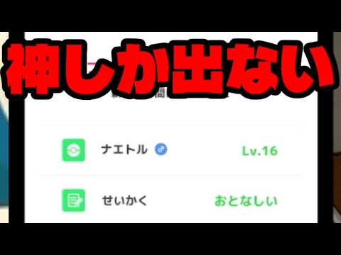 ナエトルのやる気を日々感じる。【ポケモンスリープ】