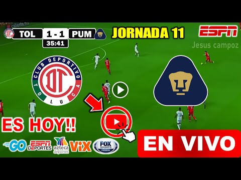 Toluca vs. Pumas en vivo, donde ver, a que hora juega Toluca vs. Pumas Liga MX Apertura 2024 resumen