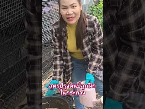 สูตรปรุงดินปลูกผักในกระถางปลู