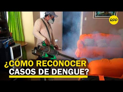 Valerie Paz Soldán sobre el dengue: “Los síntomas son parecidos a los de la COVID-19”