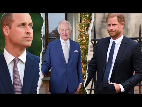 Prince Harry et le Prince William : La vraie cause de la division entre les deux princes