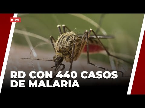 RD CON 440 CASOS DE MALARIA | NOTICIAS DE ÚLTIMO MINUTO -21.06.24