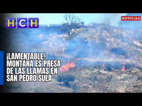 ¡Lamentable! Montaña es presa de las llamas en San Pedro Sula
