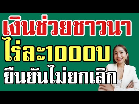 เงินช่วยชาวนาไร่ละ1000บล่าสุ