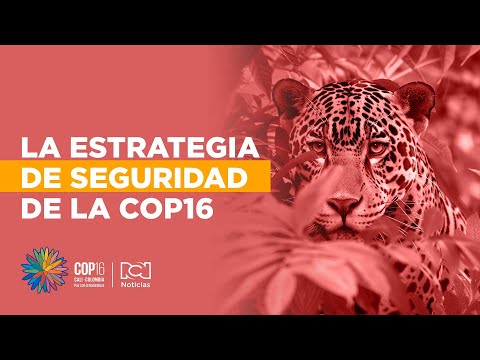 La estrategia de seguridad establecida para la COP16