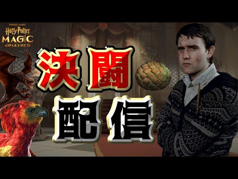 【魔法の覚醒】« 2vs2覚醒決闘 ~グレウィザまで長い編~ »