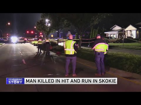 Authorities still searching for hit-and-run driver who killed pedestrian crossing the street in Skok