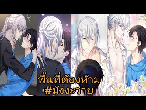 พื้นที่ต้องห้ามมังงะวายตอนที