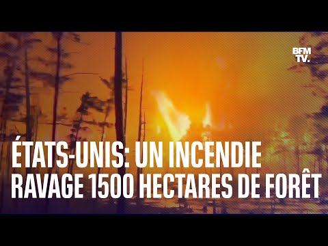 États-Unis: un incendie ravage plus de 1500 hectares de forêt dans le New Jersey