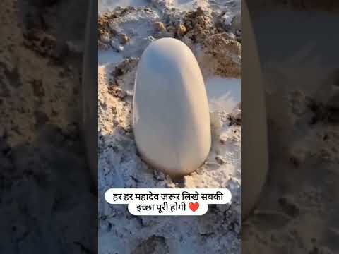 Om Namah Shivaya 🔱🚩 Sachet Parampara 🚩 Mahadev status 🚩 Mahadev songs 🚩 Bholenath 🚩🔥🔥